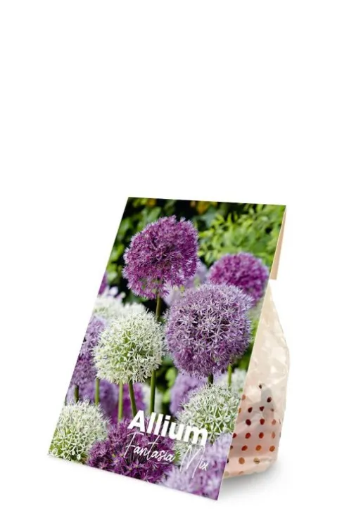 Allium Fantasia mix - 15 bollen