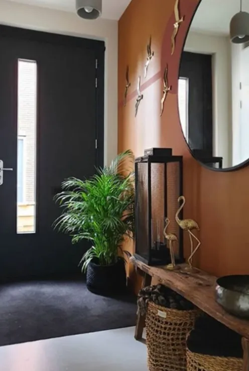 Areca - Goudpalm