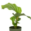 Artevasi San Remo Pot - groen