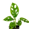 Artevasi San Remo Pot - zwart