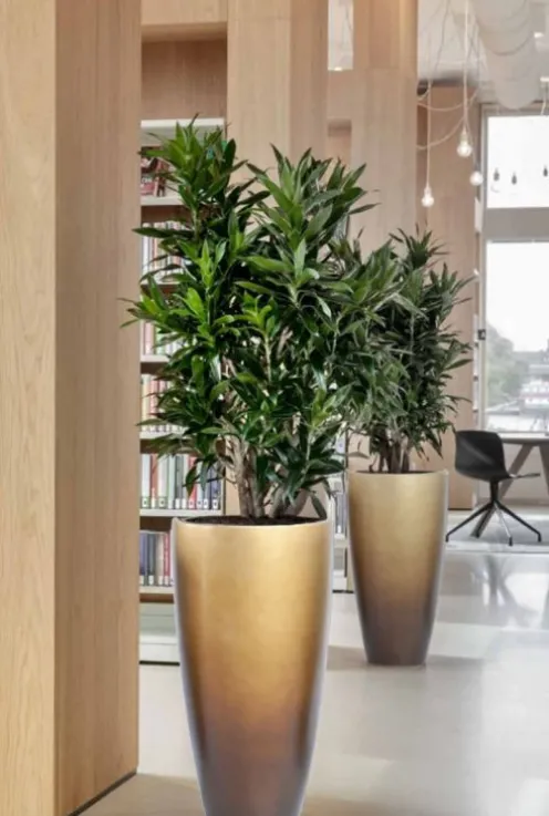 Baq Gradient Partner Vaas - goud