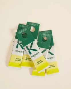 Biologische bestrijding spint (5 stuks)