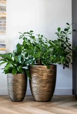 Capi Nature Rib Vaas - Goud