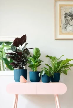 Elho Vibes Fold Pot - blauw