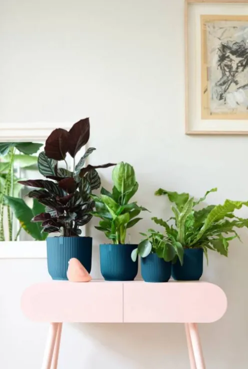 Elho Vibes Fold Pot - blauw
