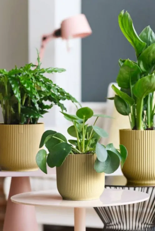 Elho Vibes Fold Pot - geel