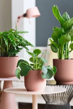 Elho Vibes Fold Pot - roze