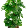 Grote Monstera in sierpot