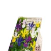 Iris Hollandica mix - 50 bollen