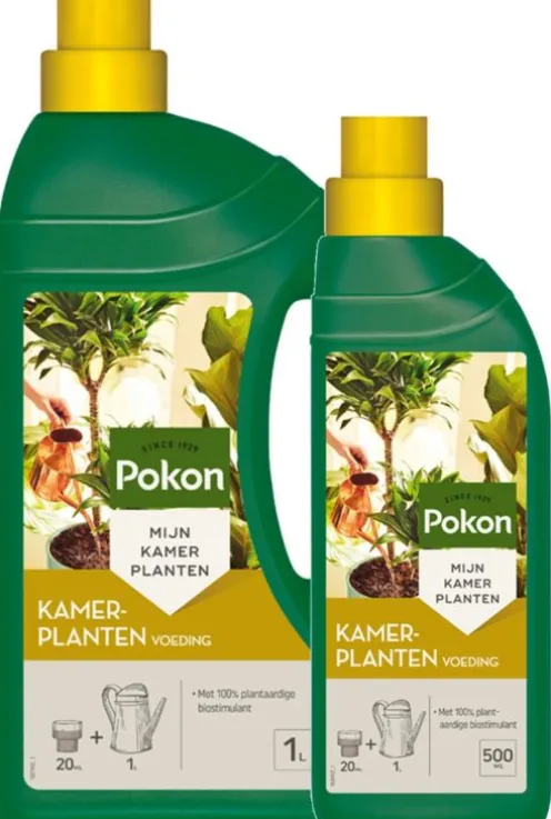 Kamerplant voeding
