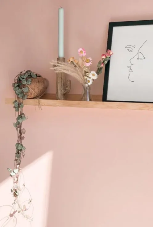 Kokodama Ceropegia Woodii - Chinees lantaarnplantje