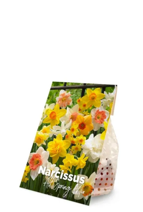 Narcis lente mix - 15 bollen