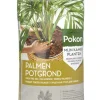 Palmen Potgrond 10L