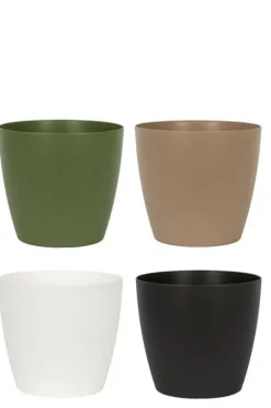 Philodendron planten mix