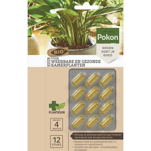 Pokon Bio Kuur - Weerbare en Gezonde Kamerplanten Capsules