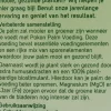 Pokon palmen voeding