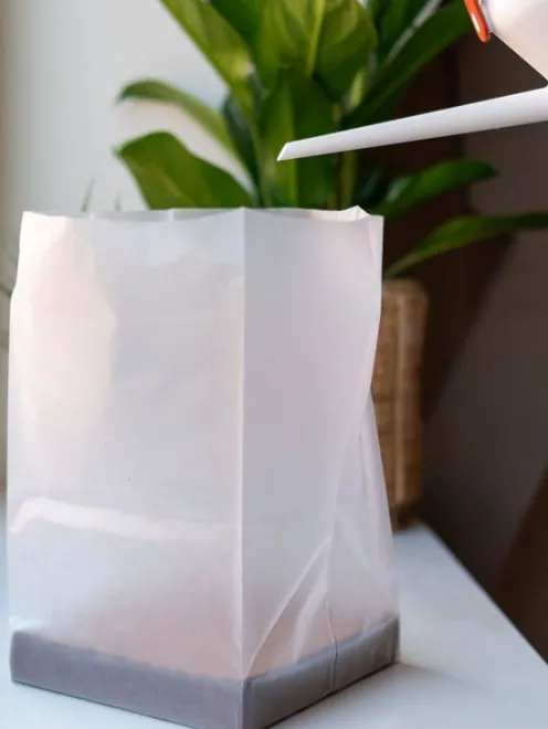 Potgrond compact 10L