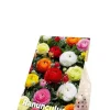 Ranonkel mix - 50 bollen