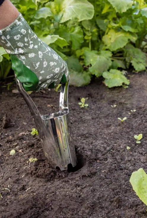 RVS bollenplanter