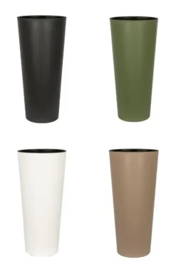 Sansevieria in hoge pot