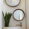 Sansevieria Zeylanica - Vrouwentong