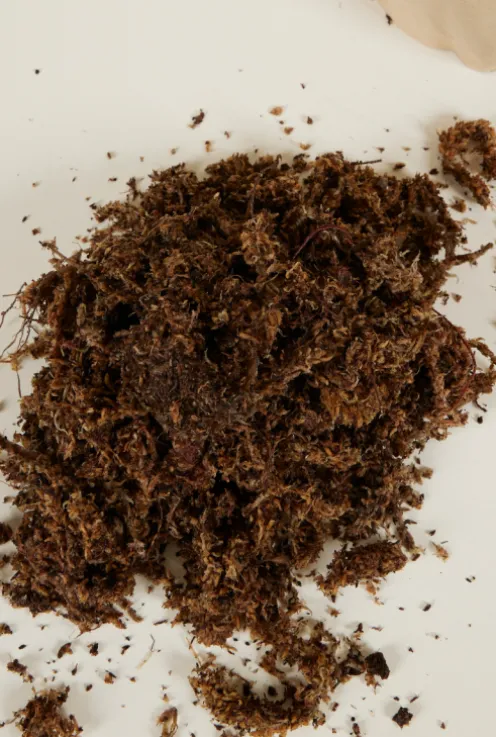 Sphagnum mos 3 liter