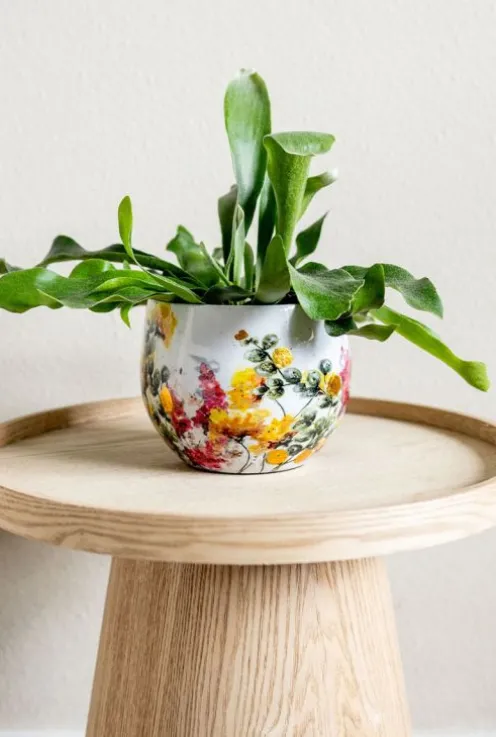 TS Collection Designed by Lammie Floral
