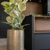 TS Collection Rowen Pot Hoog - goud