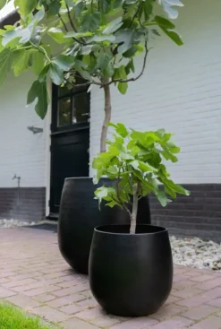 TS Collection Stijn Pot - zwart