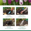 Tulp Purple mix - 20 bollen
