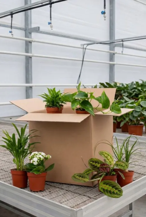 Tweede kans box - 6 stuks - Voordeelbox