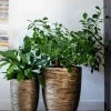 Capi Nature Rib Vaas - Goud