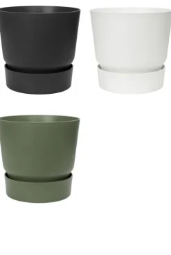 Ficus in Elho pot - Rubberboom