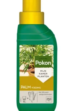 Pokon palmen voeding