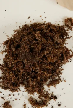 Sphagnum mos 1 liter