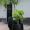 TS Collection Stijn Pot - zwart